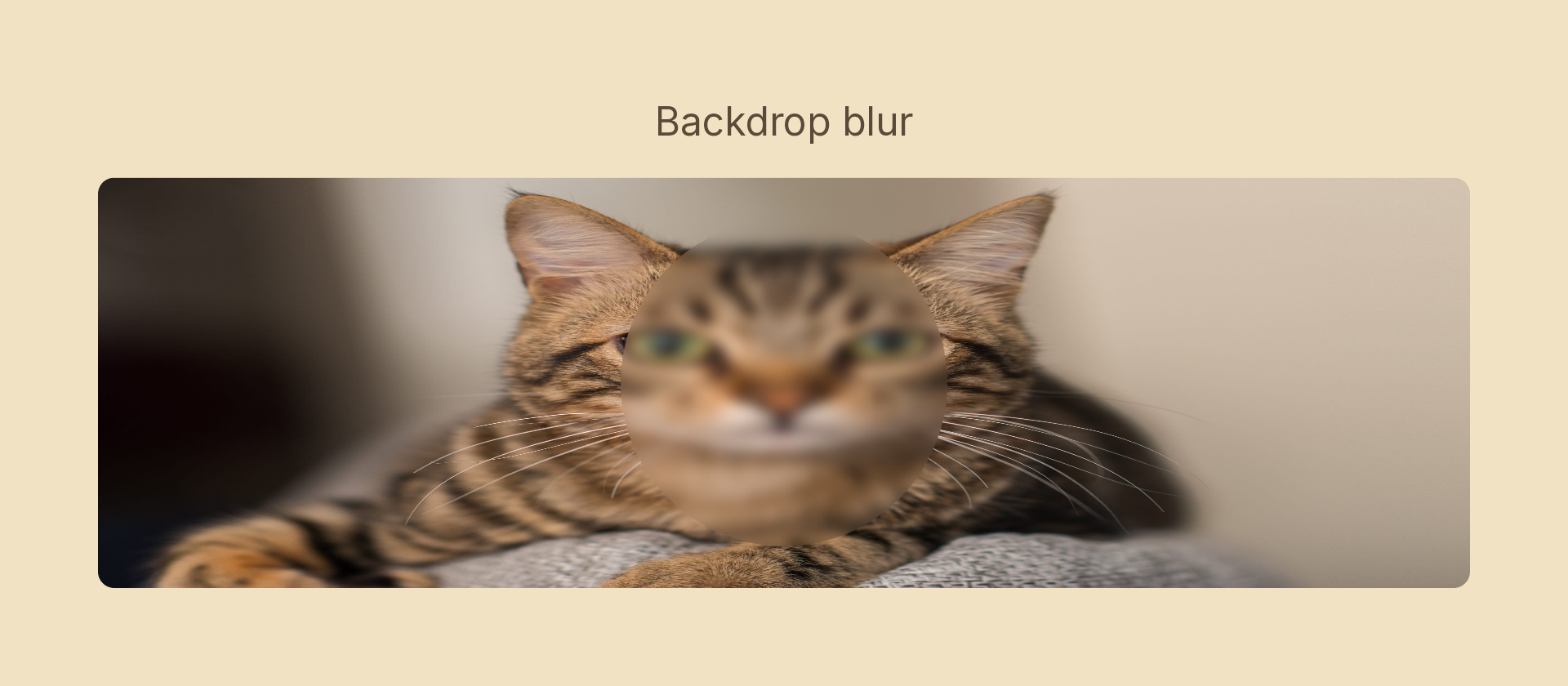 Background blur effect demo