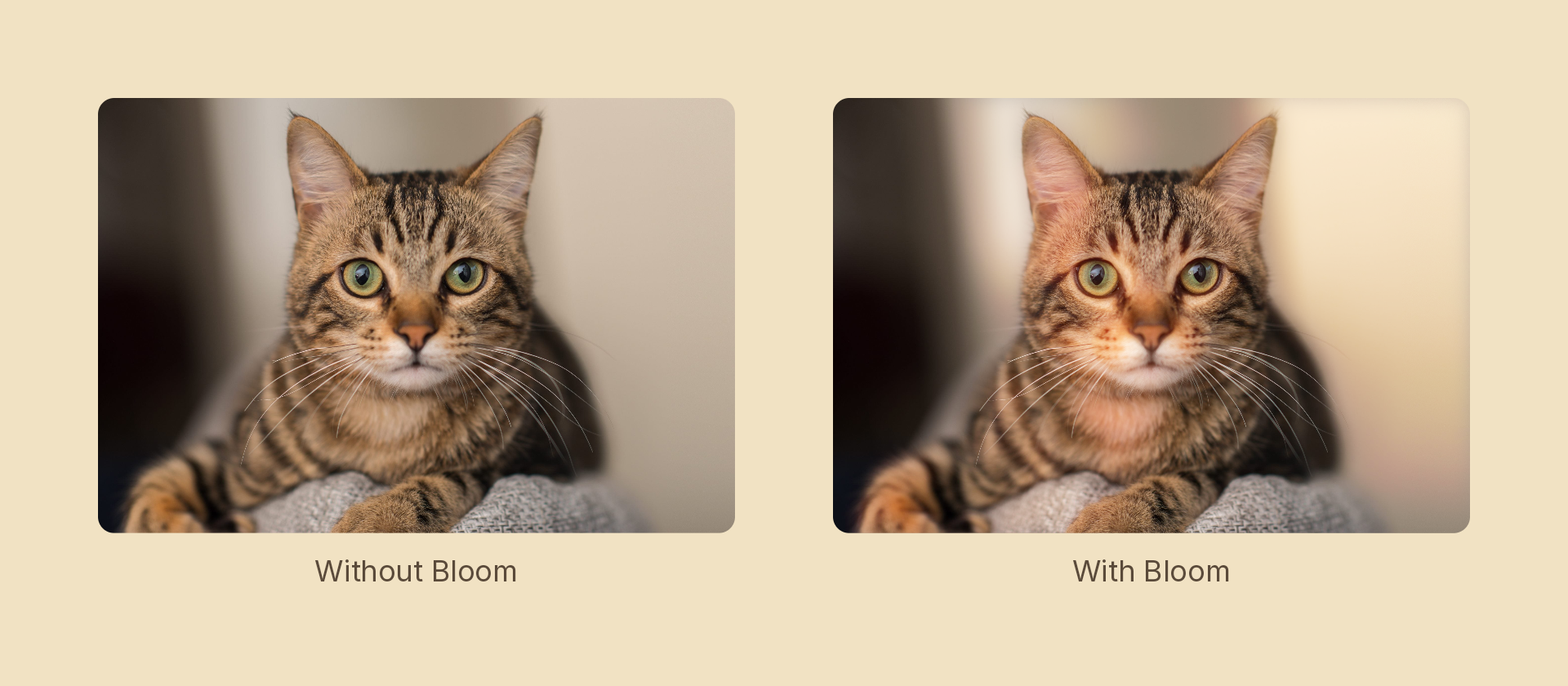 Bloom effect demo
