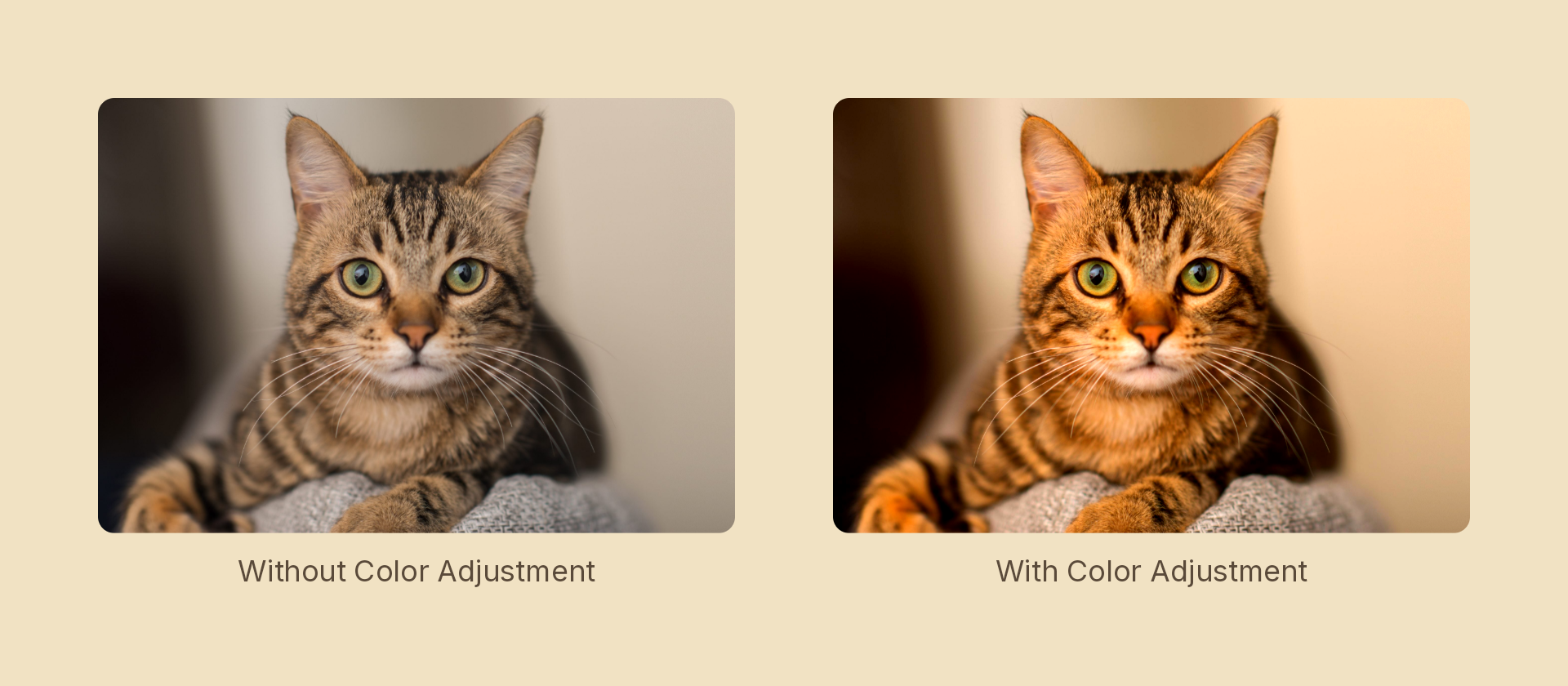 Color adjustment effect demo
