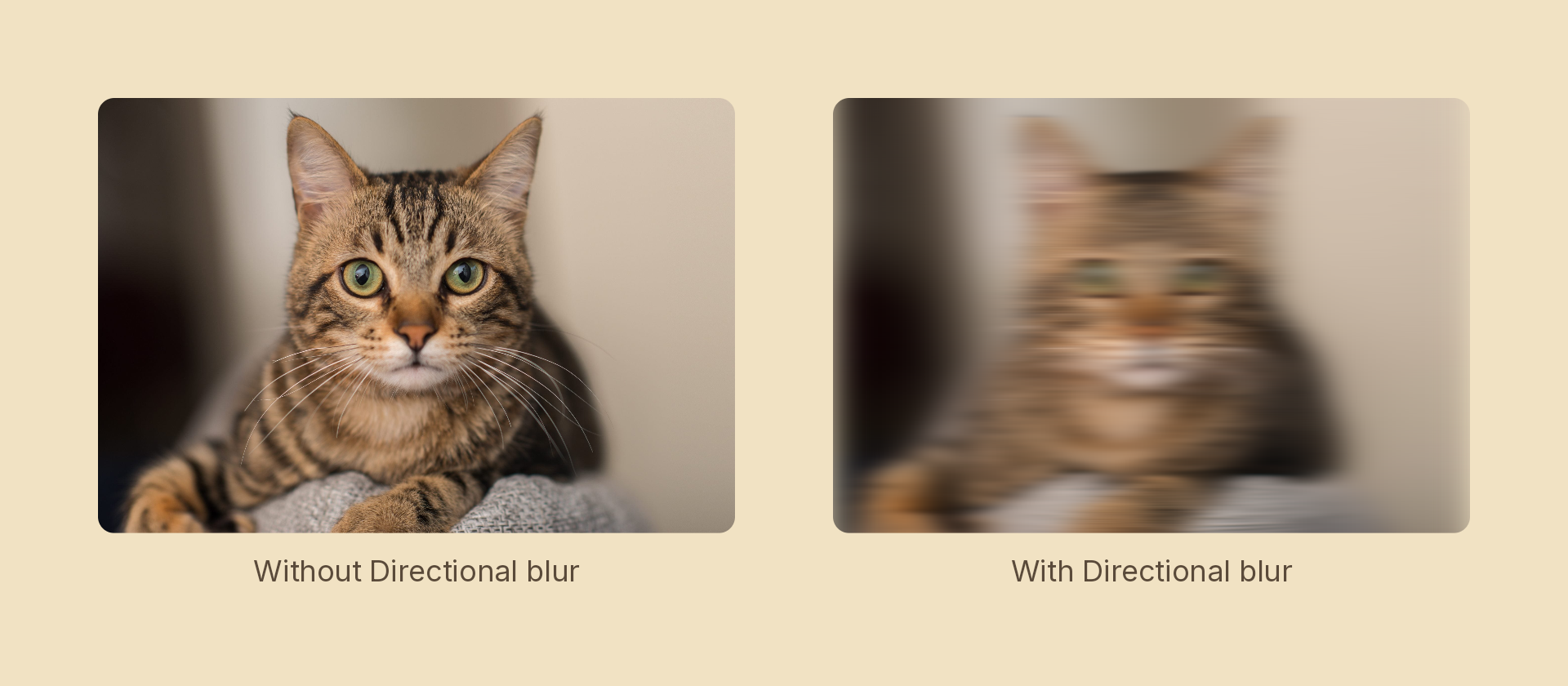Directional blur effect demo