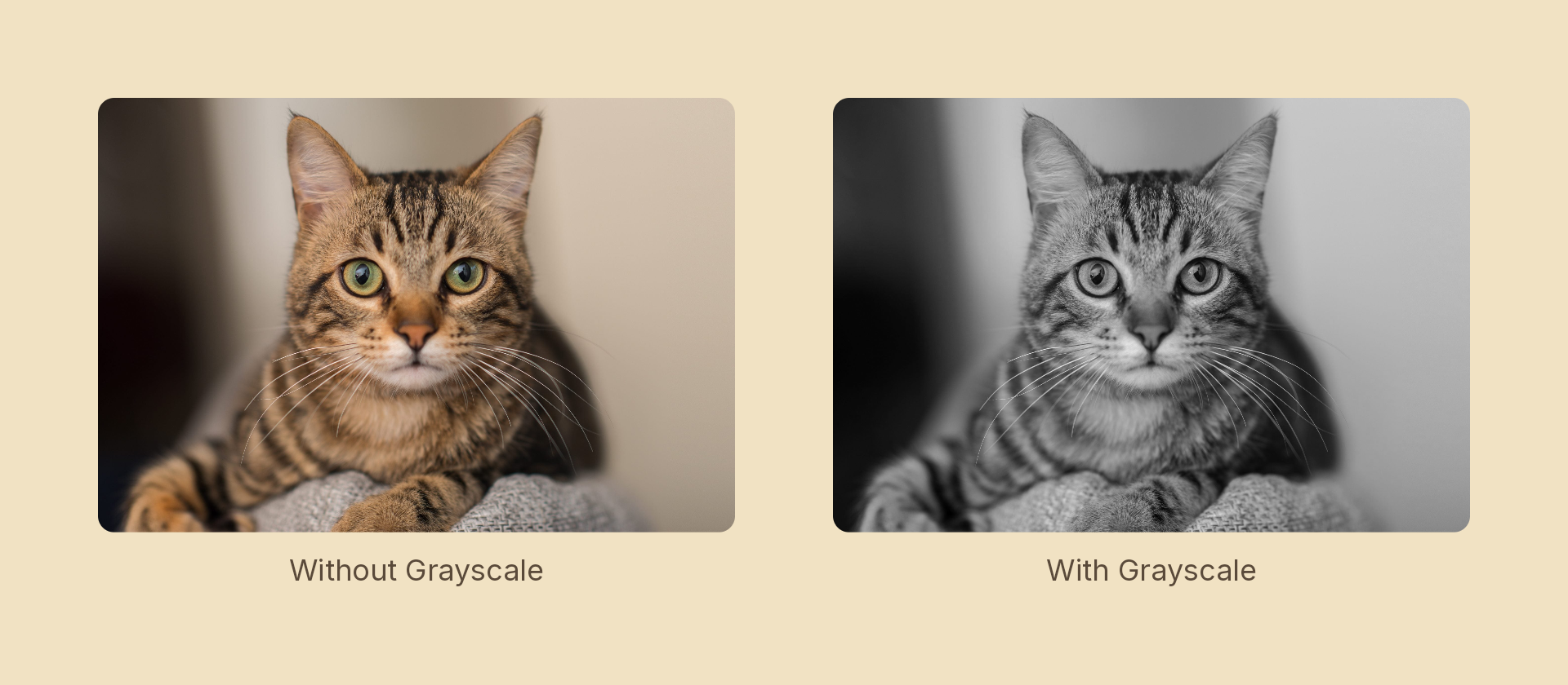 Grayscale effect demo