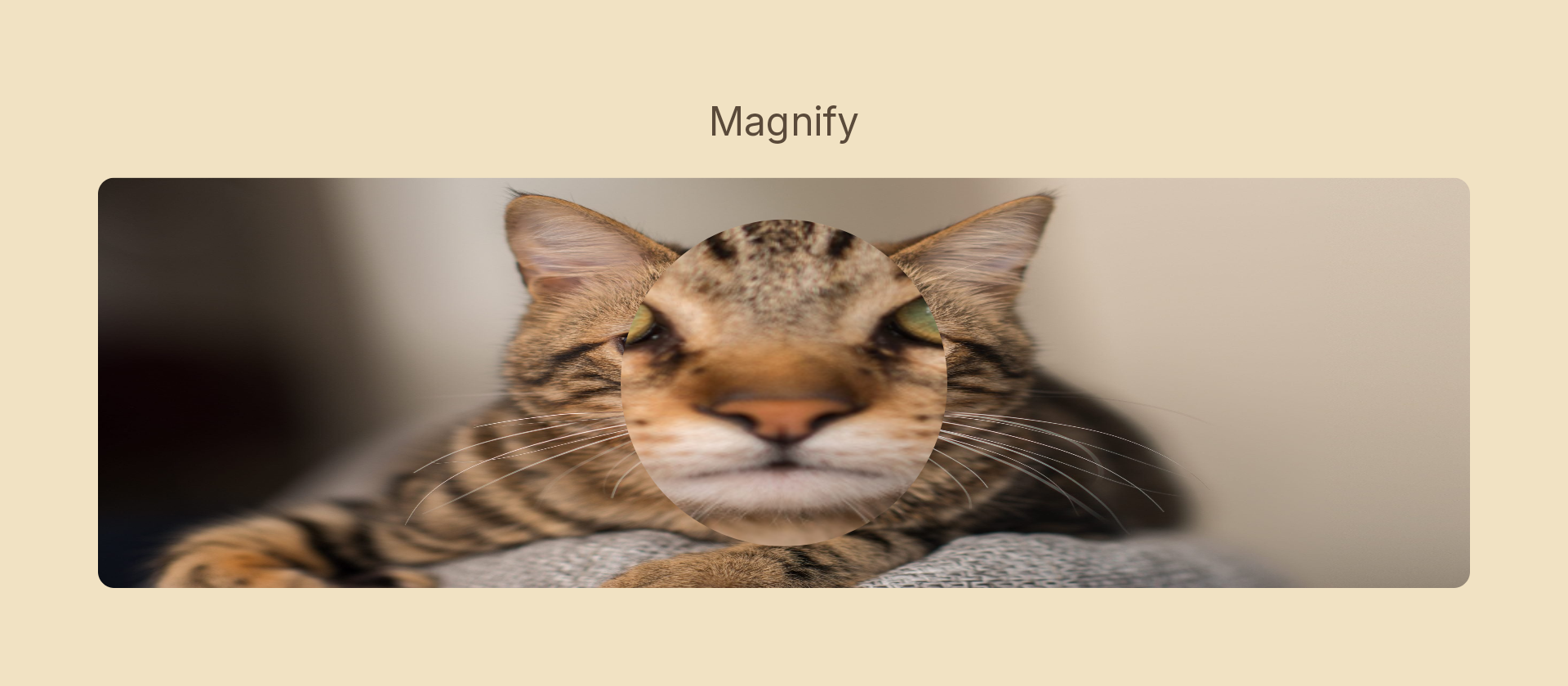 Magnify effect demo
