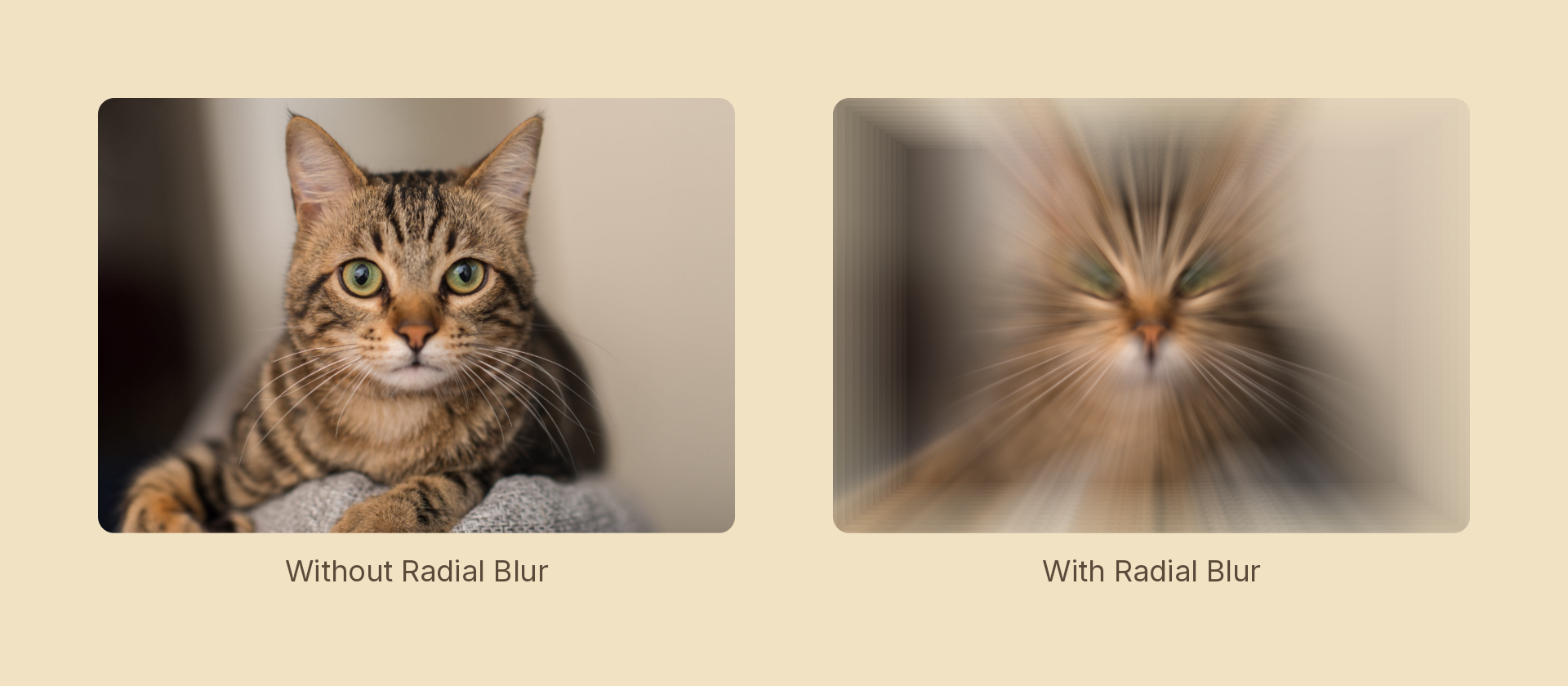 Radial blur effect demo