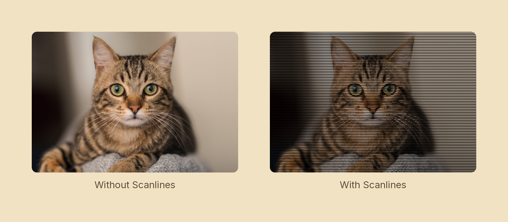 Scanlines effect demo