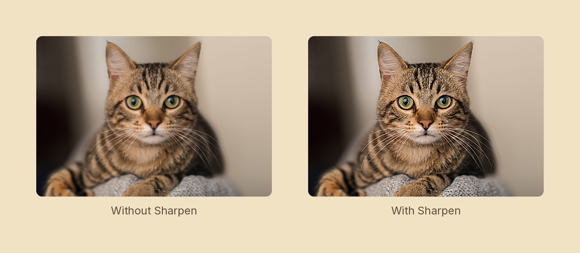 Sharpen effect demo