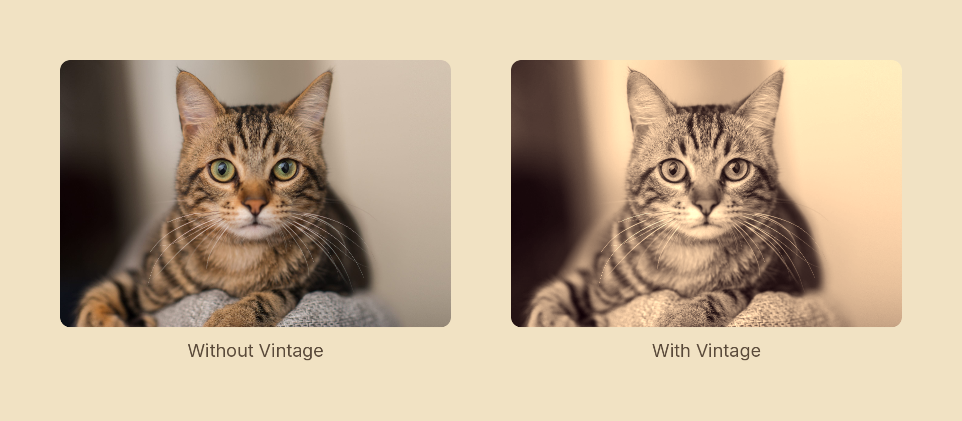 Vintage effect demo